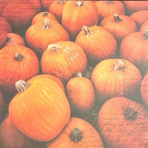 Fall Scrapbook Paper! Beautiful Autumn Colors! 12x12 Premium Card Stock! - Picture 4 of 12